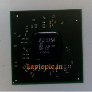 AMD 216-0842009